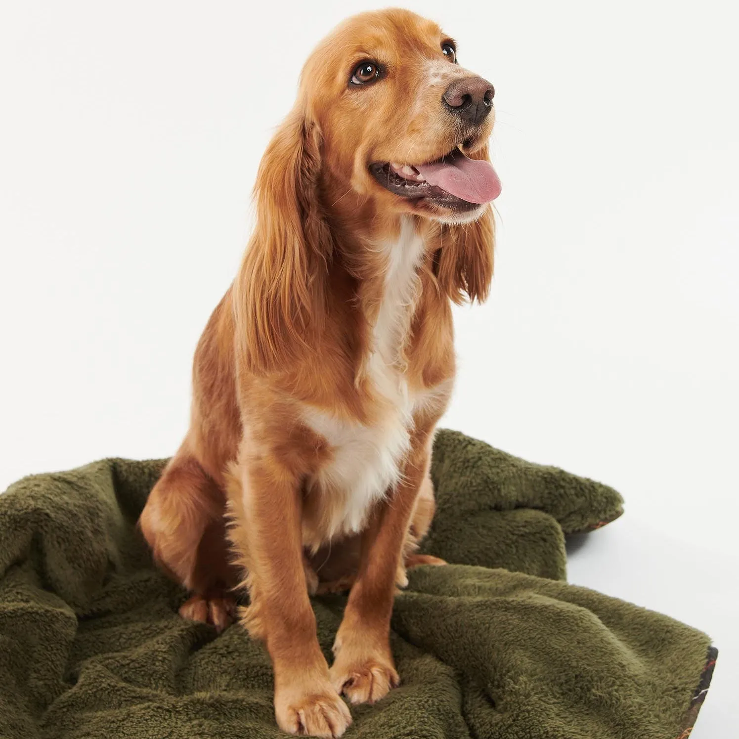 Barbour Dog Bone Quilted Blanket in Dark Olive