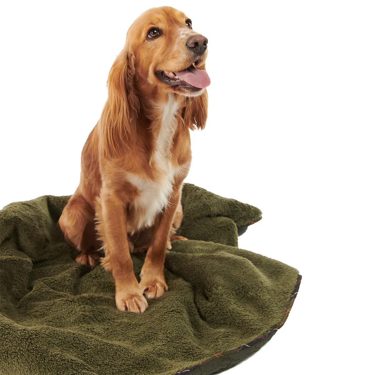 Barbour "Dog Bone" Quilted Blanket