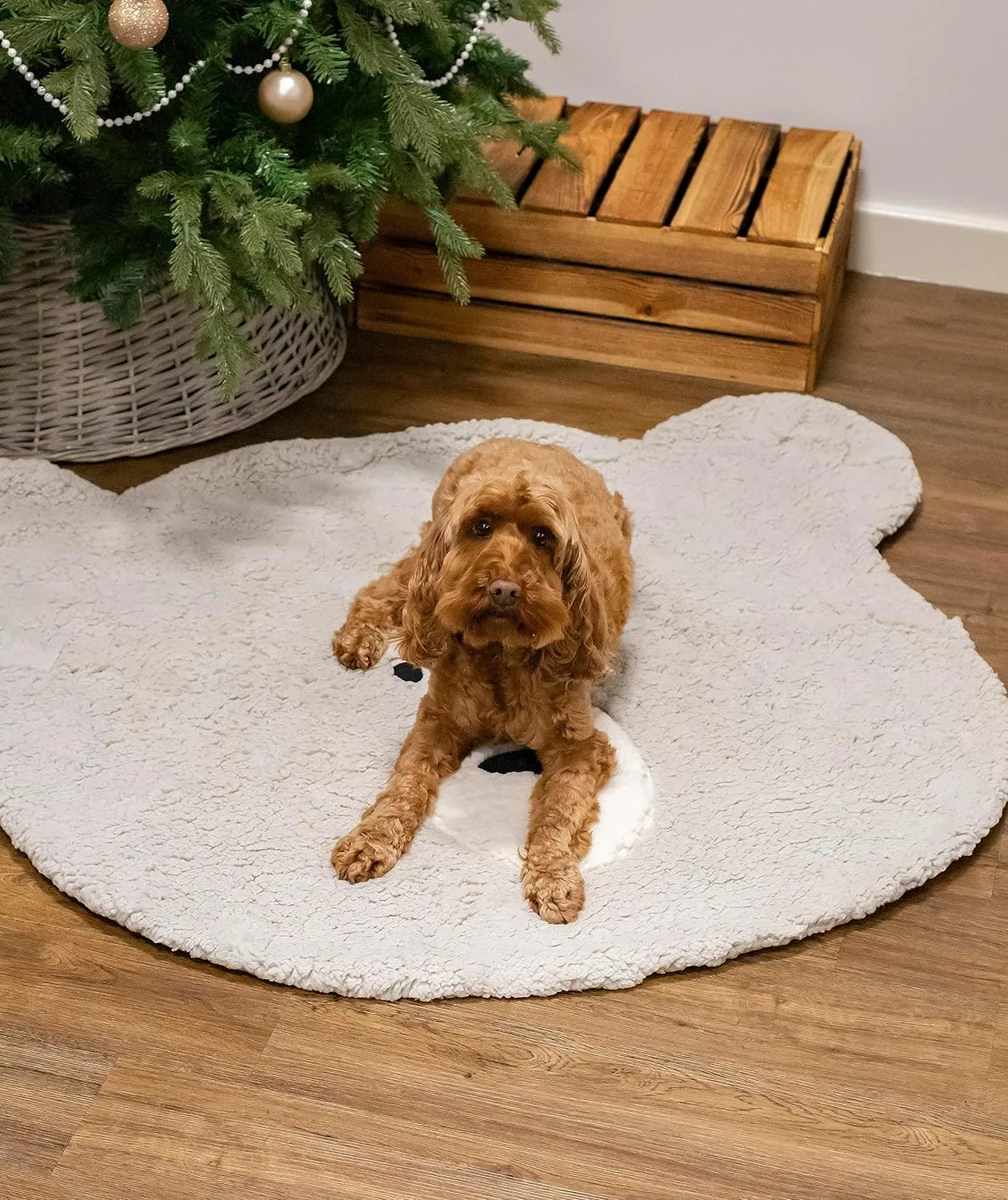 Christmas Teddy Bear Blanket