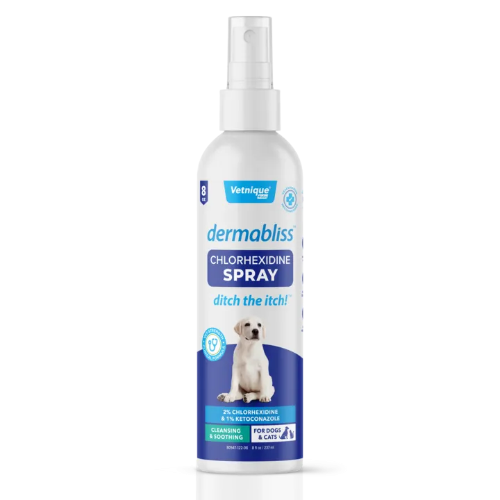 Dermabliss™ Anti-Bacterial & Anti-Fungal Chlorhexidine Antiseptic Spray - 8 oz