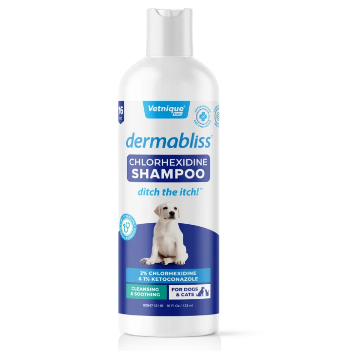 Dermabliss™ Anti-Bacterial & Anti-Fungal Chlorhexidine Shampoo - 16 oz