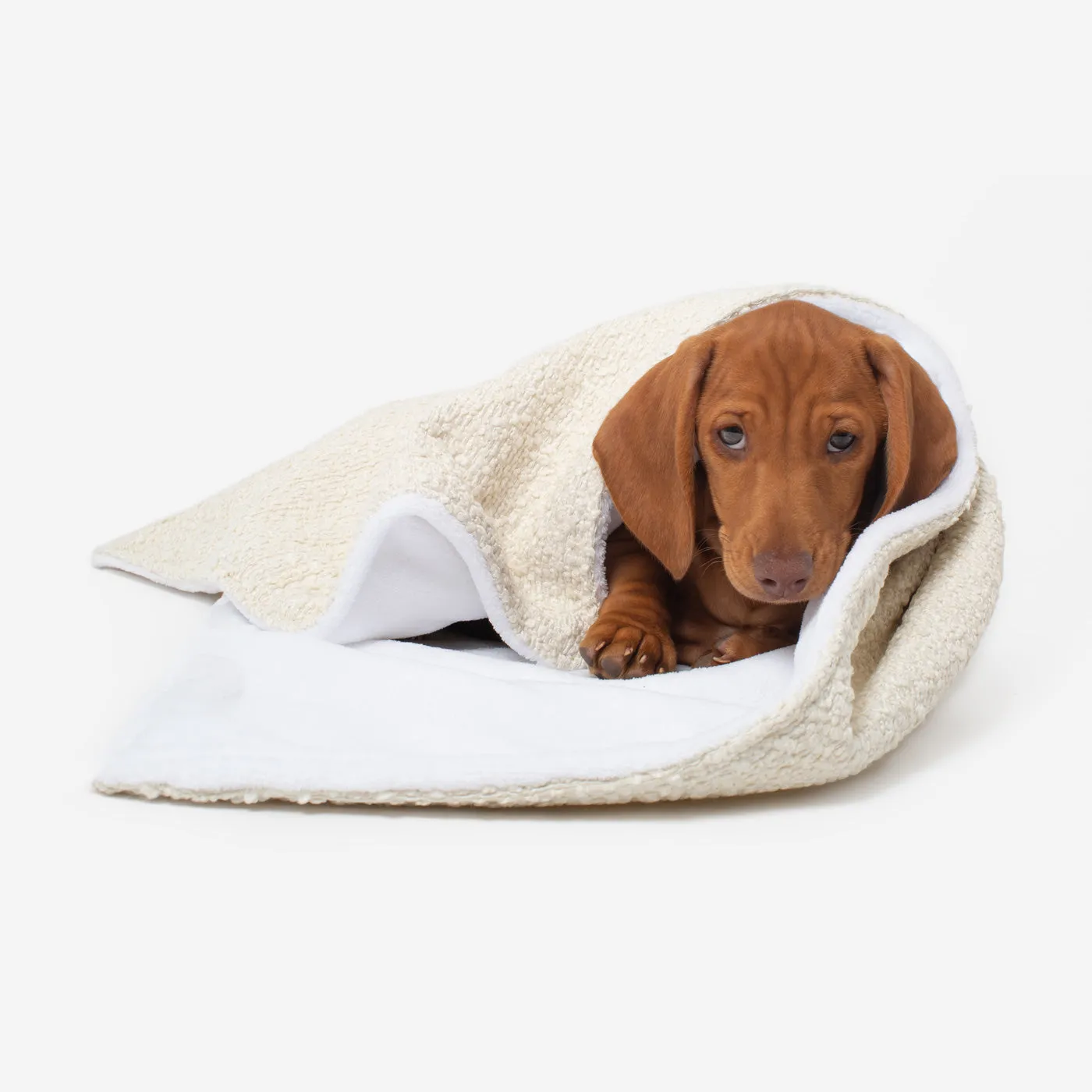 Dog & Puppy Blanket in Bouclé by Lords & Labradors