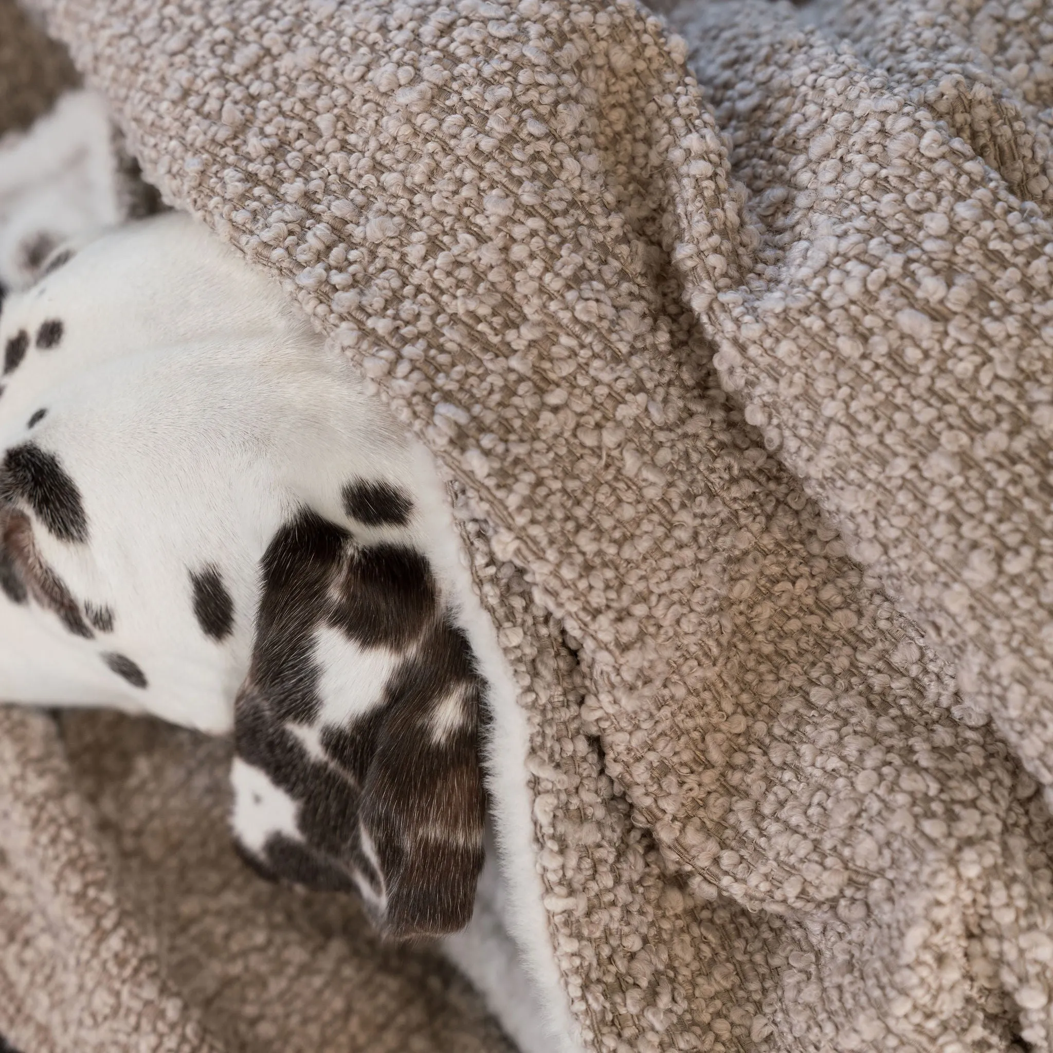 Dog & Puppy Blanket in Bouclé by Lords & Labradors