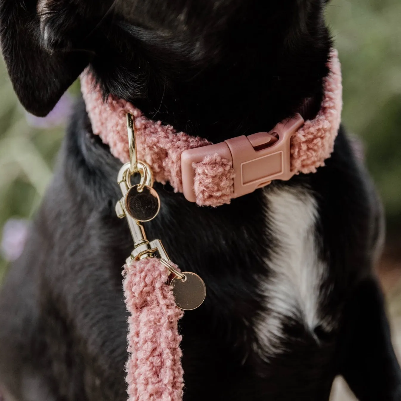 Dog Collar Teddy Fleece