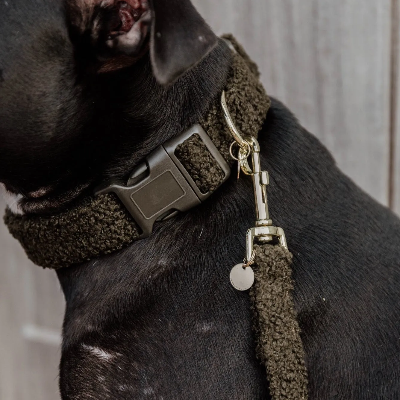 Dog Collar Teddy Fleece