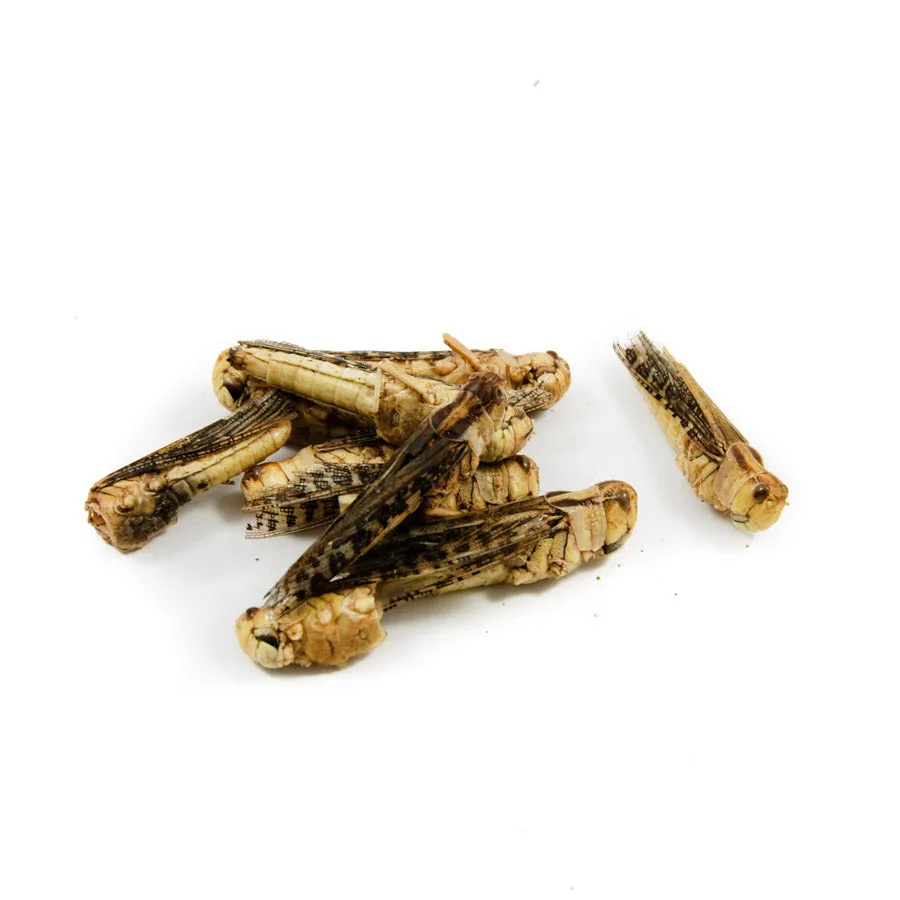 Edible Grasshoppers, 9g