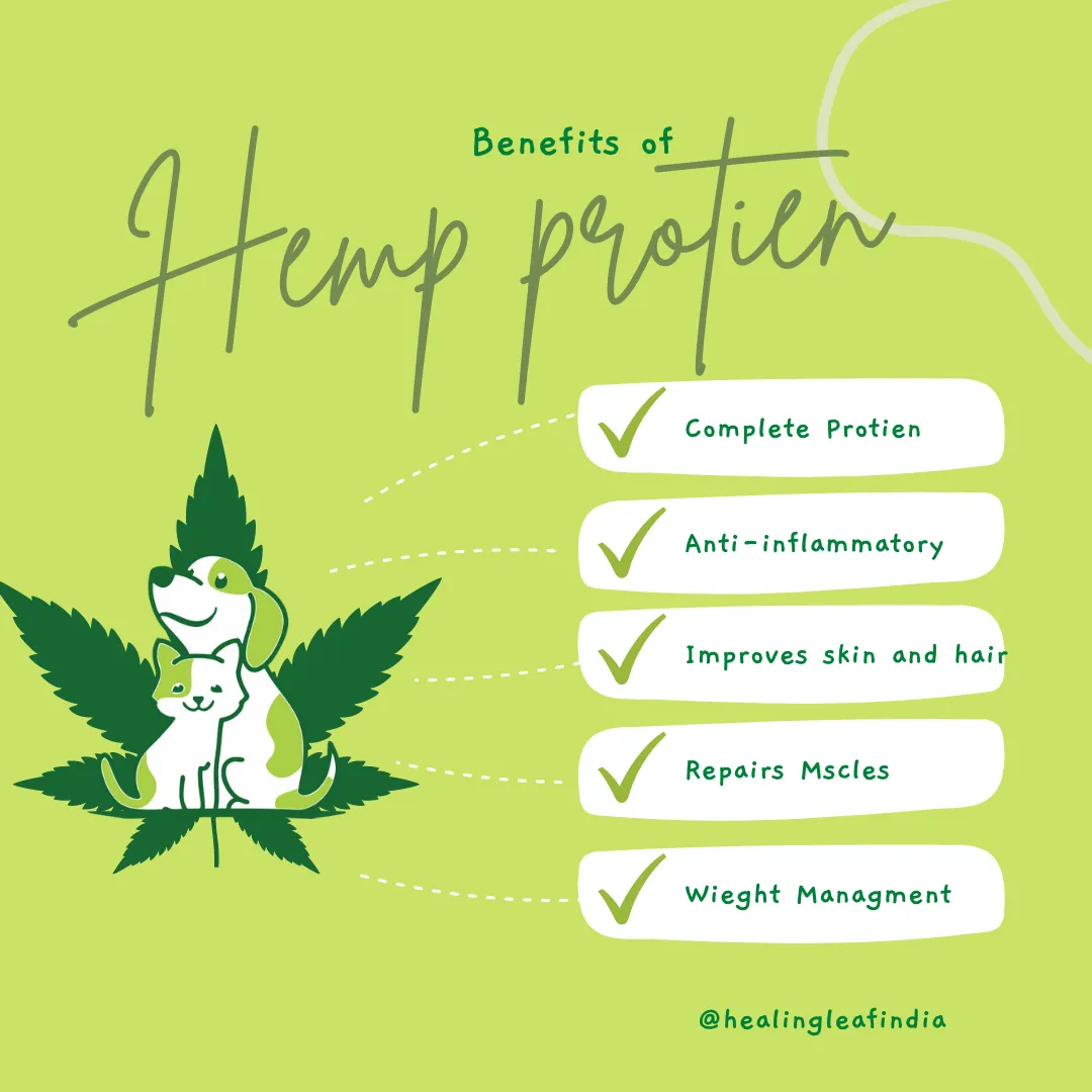 Healing Leaf Hemp Protein Powder and Bark Out Loud Immunity Multi Vitamin Chew Stix for Dogs and Cats Combo