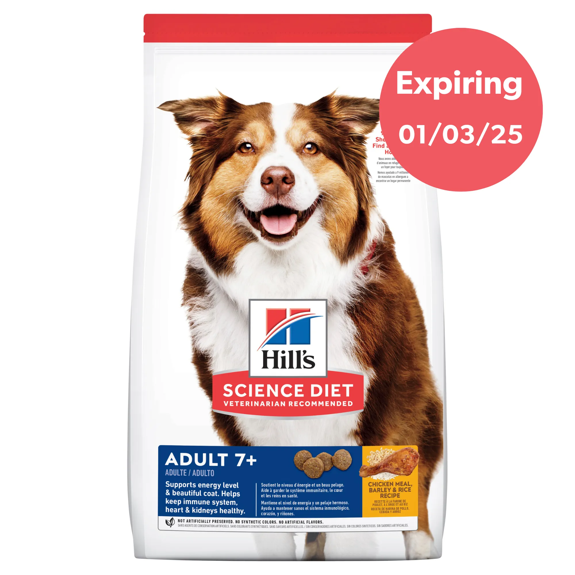 Hill's Science Diet Adult 7  Senior Dry Dog Food