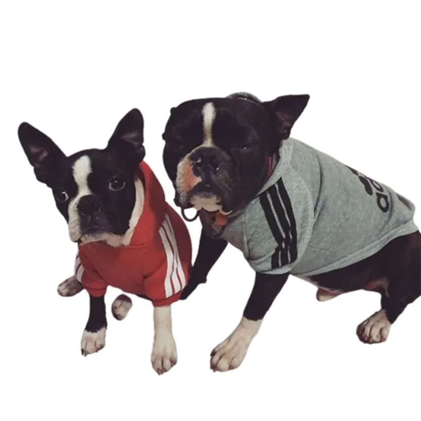 Pat and Pet Emporium | Pet Clothing | Stylish Dog Sport Hoodies