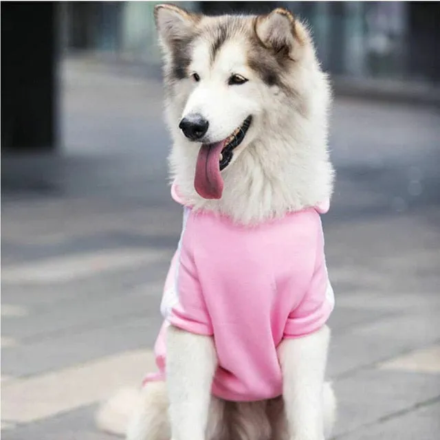 Pat and Pet Emporium | Pet Clothing | Stylish Dog Sport Hoodies