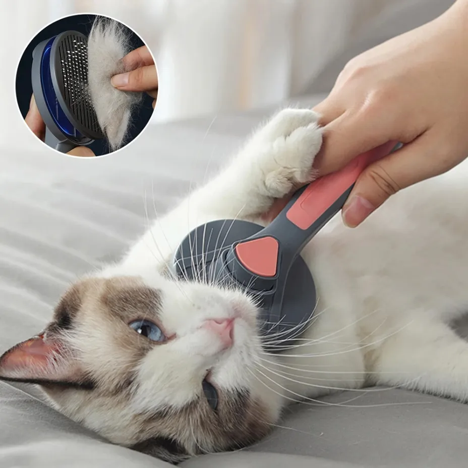 Pat and Pet Emporium | Pet Grooming | Pet Comb