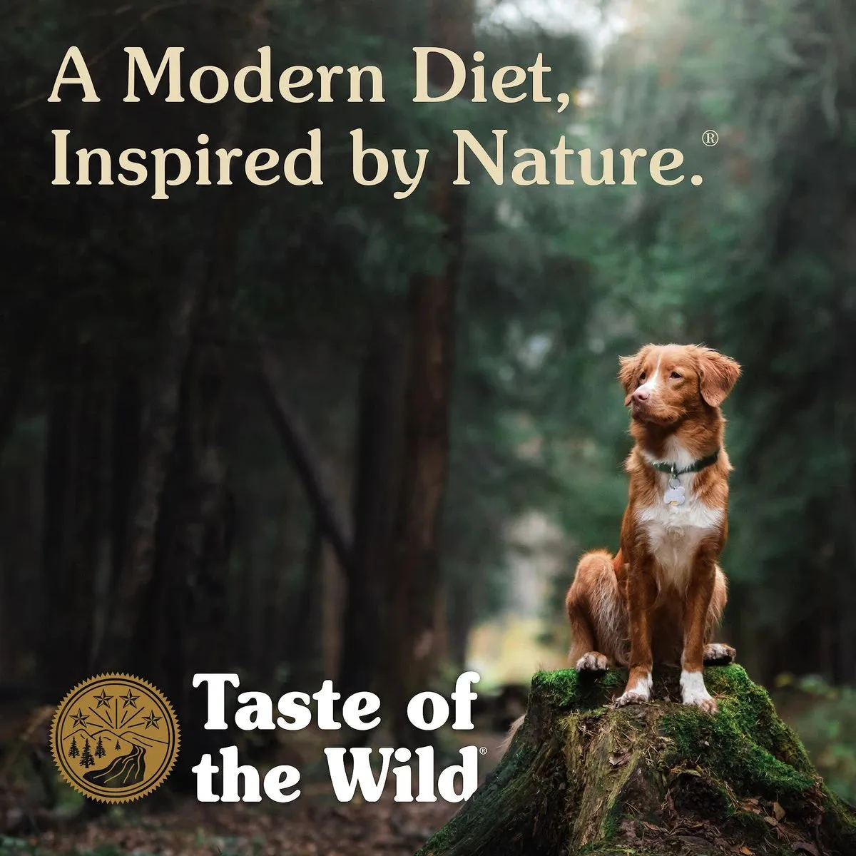 Taste Of The Wild Ancient Prairie Dog Food