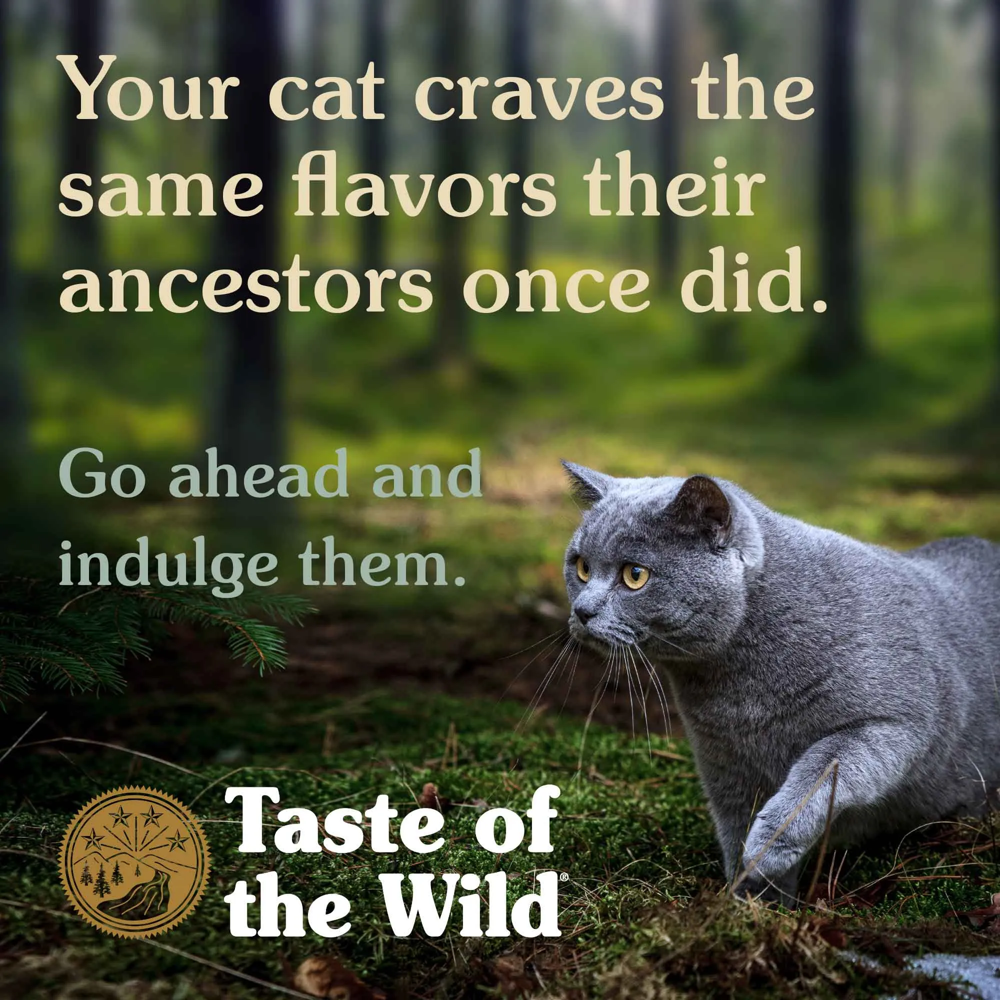 Taste of the Wild Grain-Free Dry Cat Food