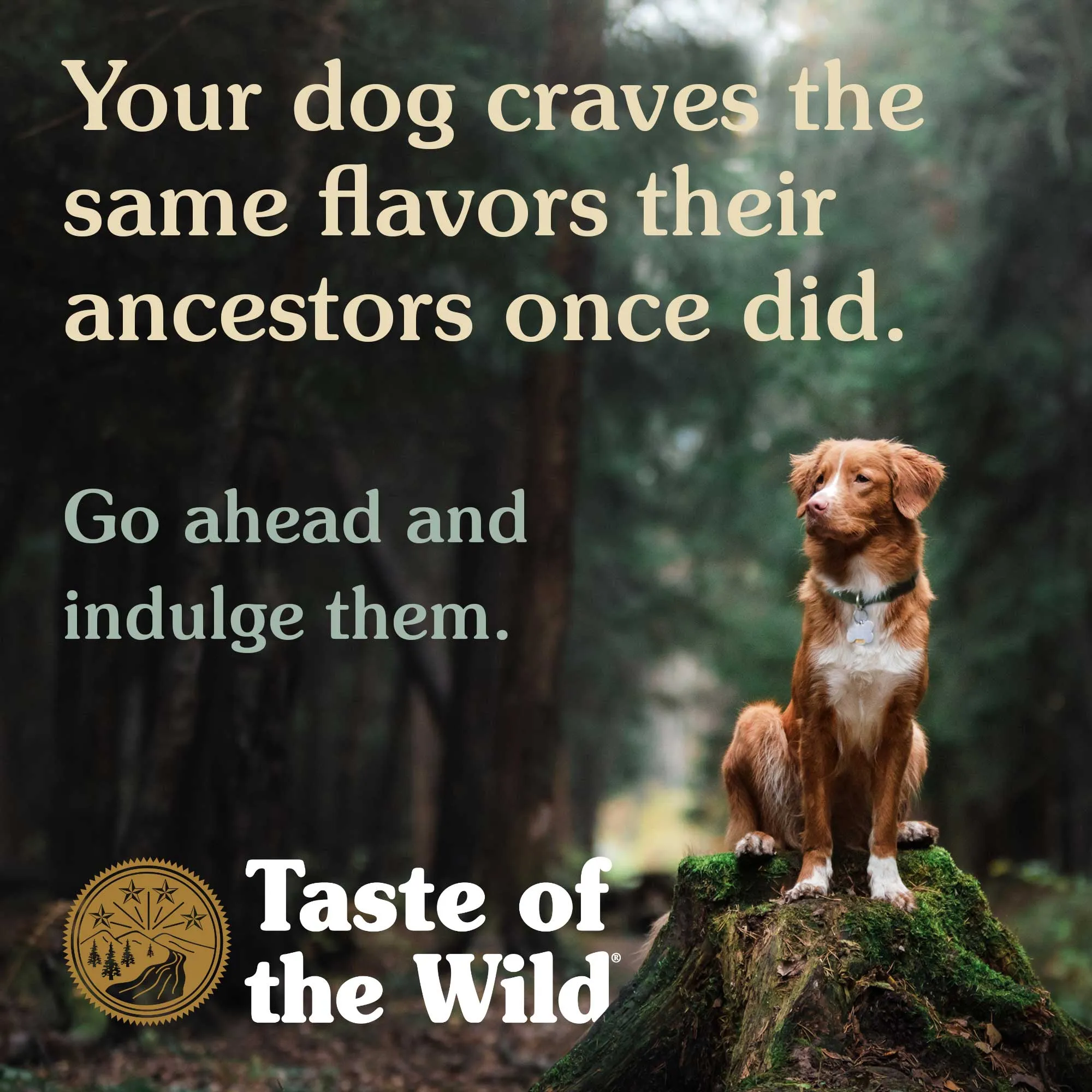 Taste Of The Wild High Prairie Puppy Formula Grain-Free Dog Food