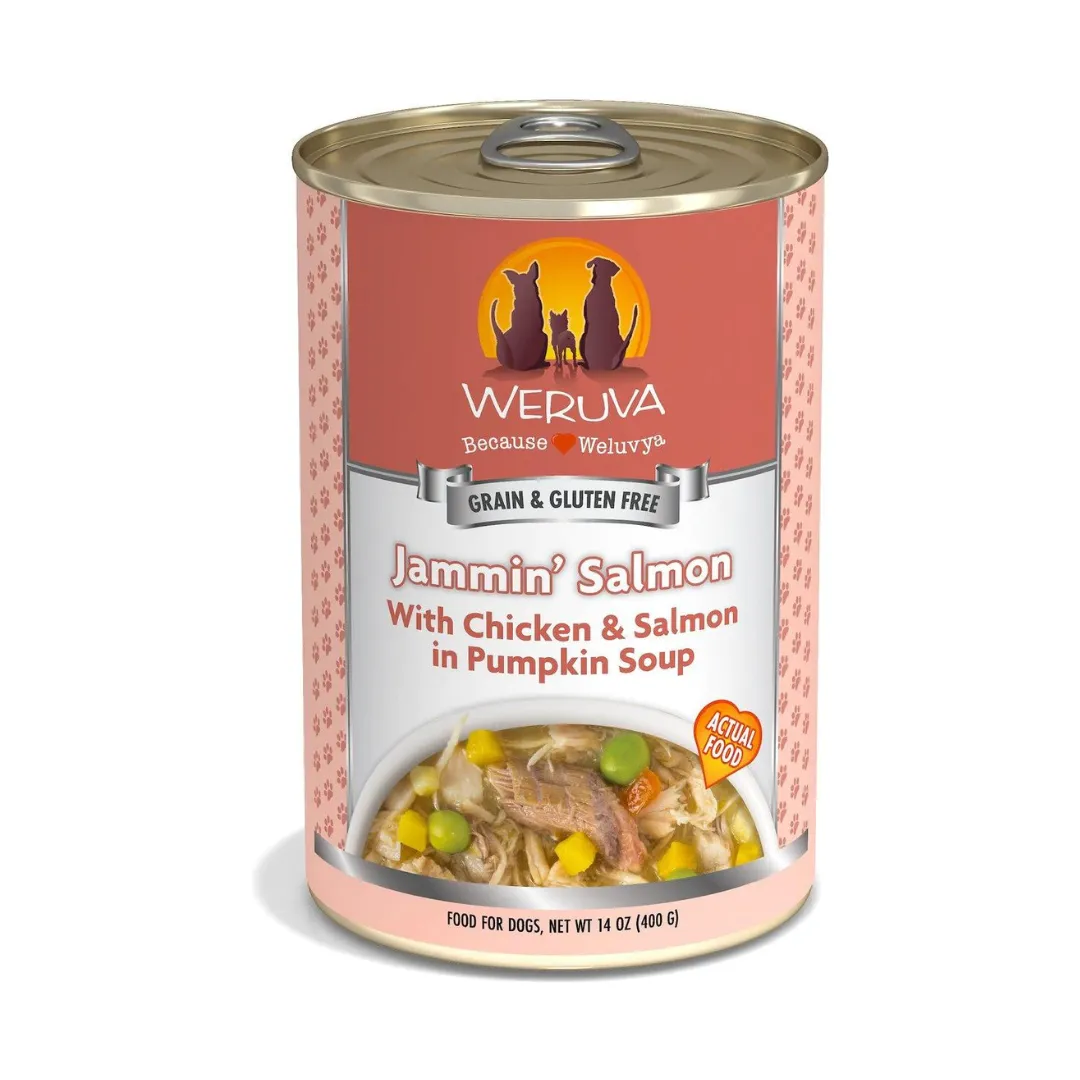 Weruva Classic Jammin' Salmon with Chicken Dog Wet Food